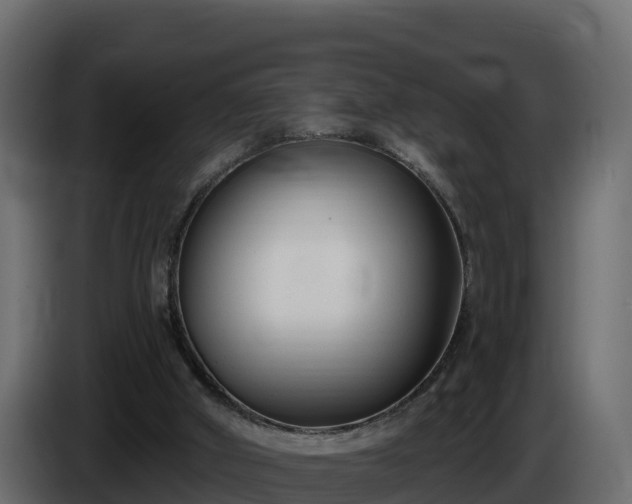 X0000085760010200703231205