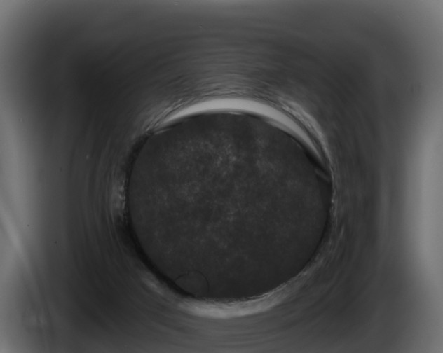 X0000085760017200703231205
