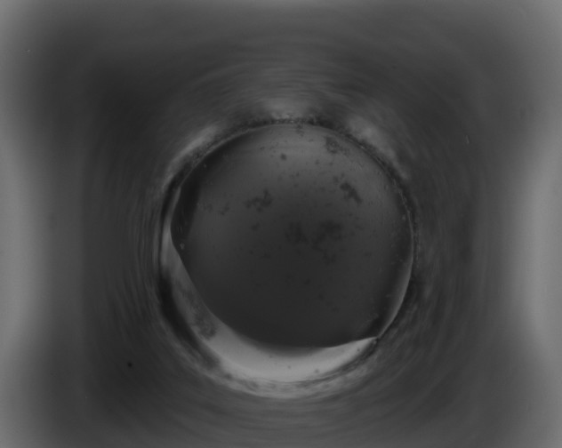 X0000085760019200703231205