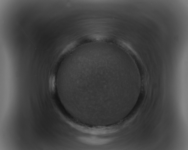 X0000085760024200703231205