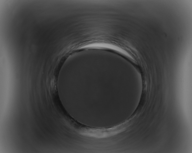 X0000085760029200703231205