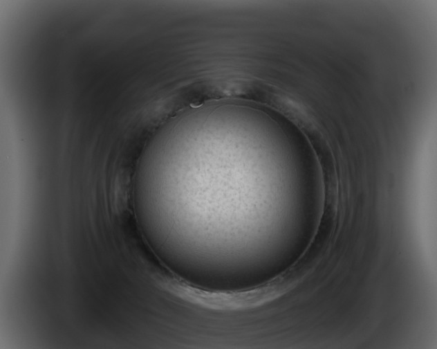 X0000085760030200703231205