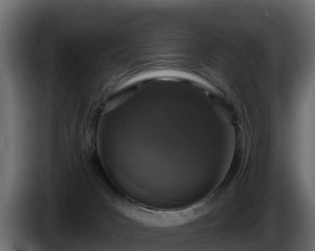 X0000085760031200703231205