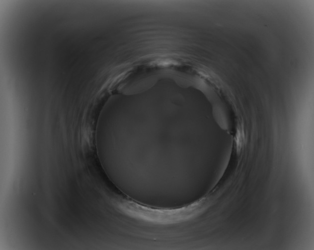X0000085760035200703231205