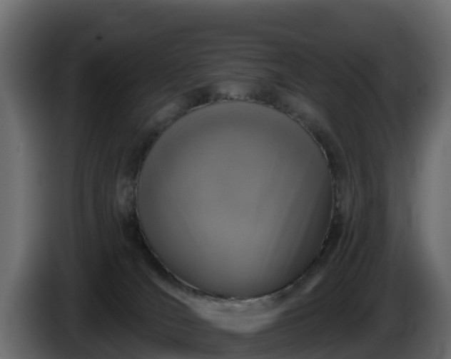 X0000085760036200703231205