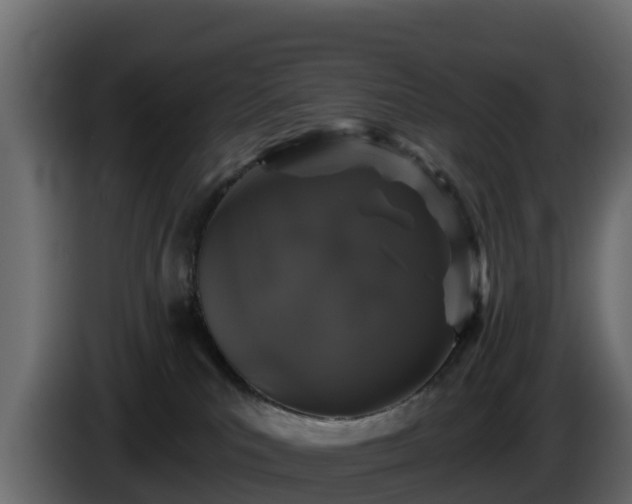 X0000085760039200703231205