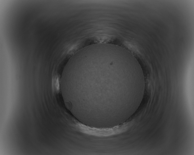 X0000085760042200703231205