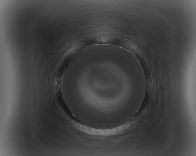 X0000085760043200703231205