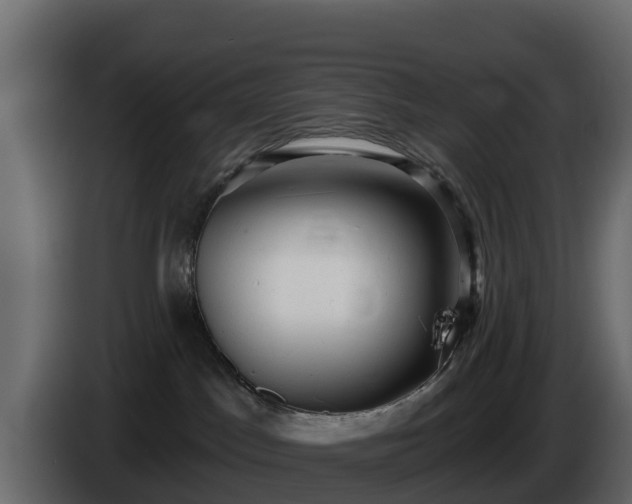 X0000085760045200703231205