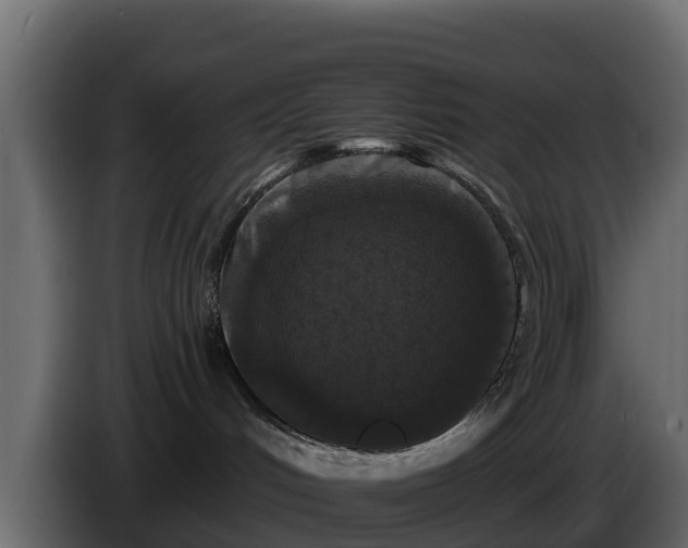 X0000085760048200703231205