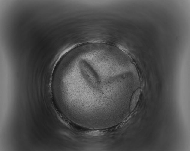X0000085760050200703231204