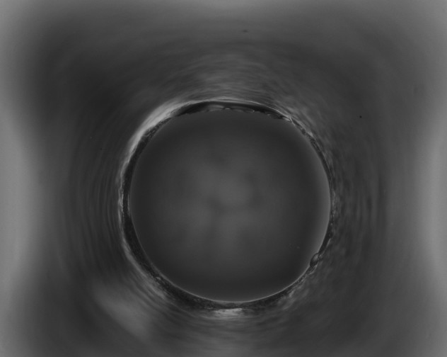 X0000085760054200703231204