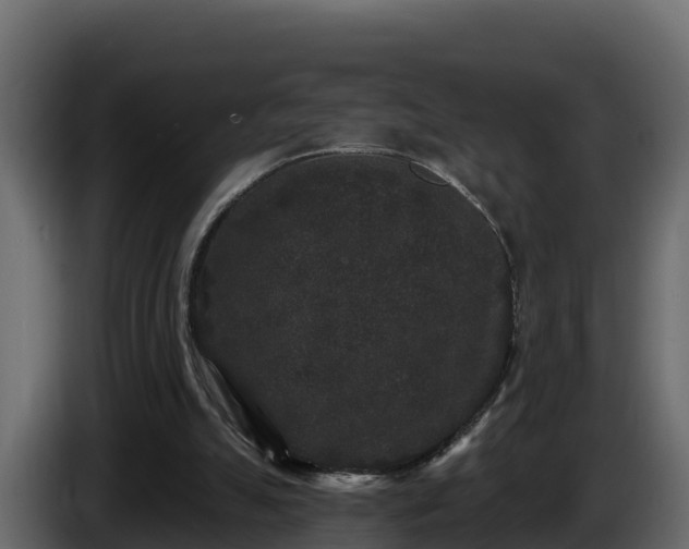 X0000085760055200703231204