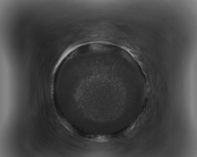 X0000085760056200703231204
