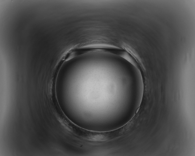 X0000085760058200703231204