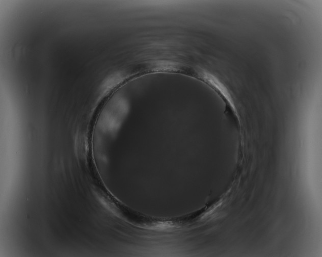 X0000085760059200703231204