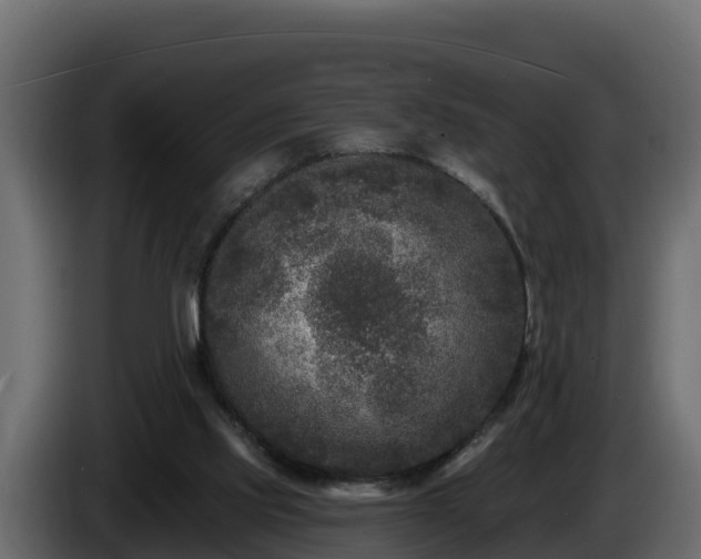 X0000085760061200703231204