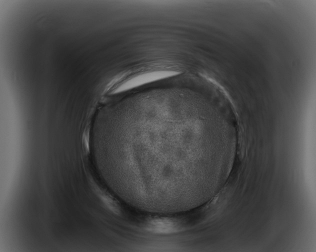 X0000085760062200703231204