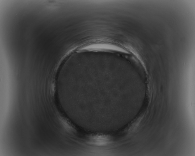 X0000085760063200703231204