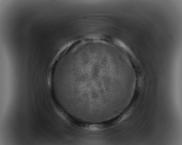 X0000085760064200703231204