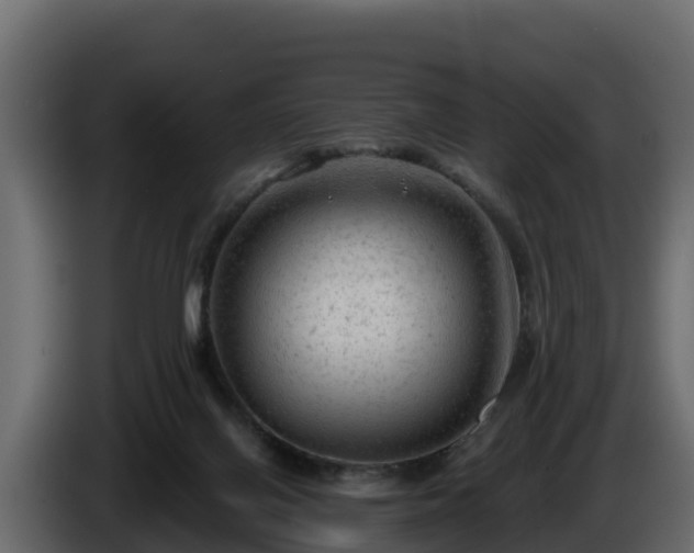 X0000085760070200703231204