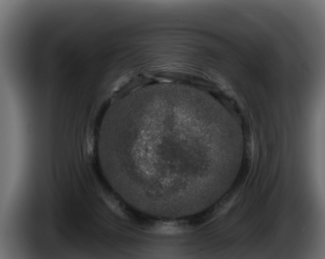 X0000085760072200703231205