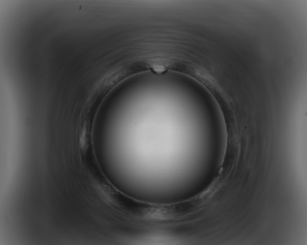 X0000085760074200703231205