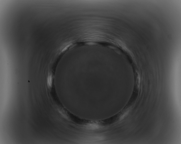 X0000085760076200703231205