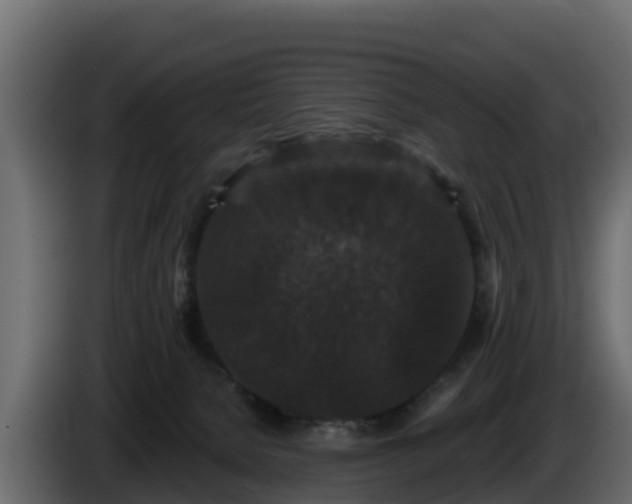 X0000085760080200703231205