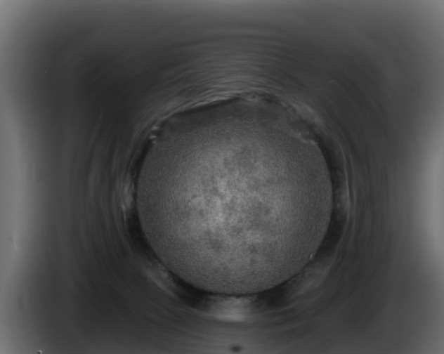 X0000085760081200703231205