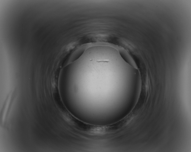 X0000085760084200703231205