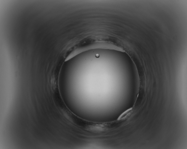 X0000085760086200703231205