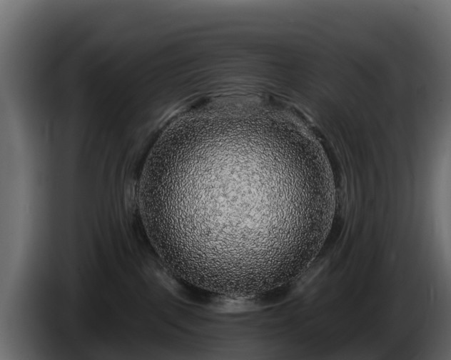 X0000085760093200703231205