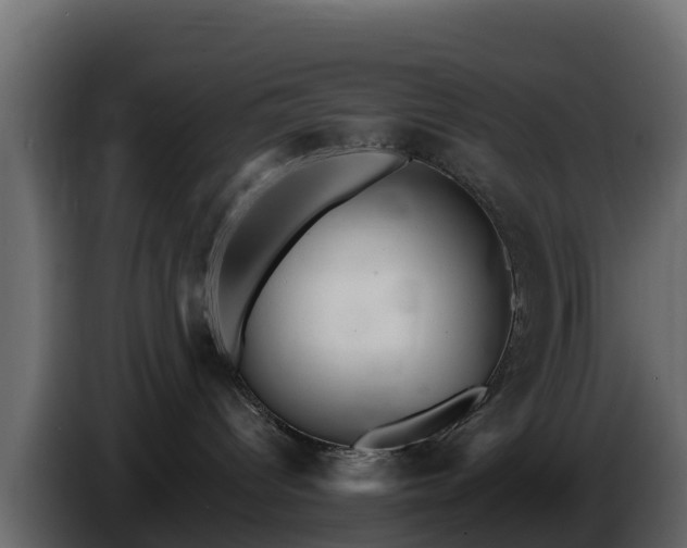 X0000085760096200703231205