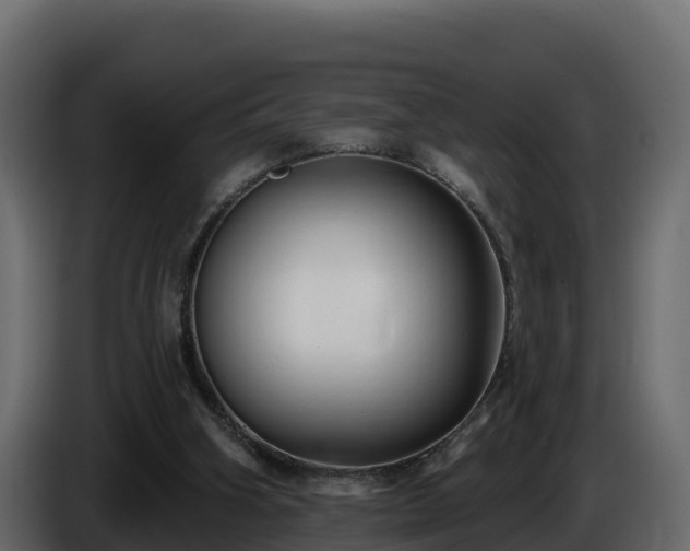 X0000085760106200703231204