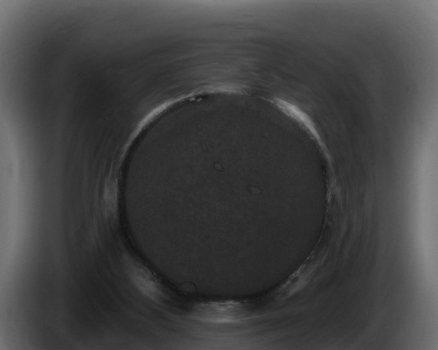 X0000085760108200703231204