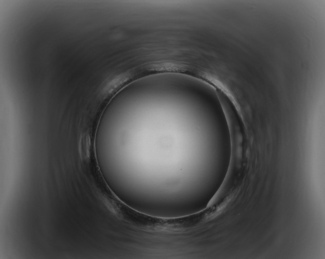 X0000085760109200703231204