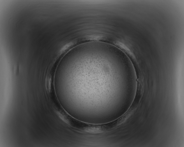 X0000085760110200703231204