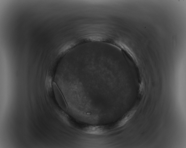 X0000085760117200703231204