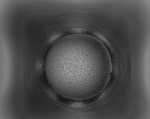 X0000085760119200703231204
