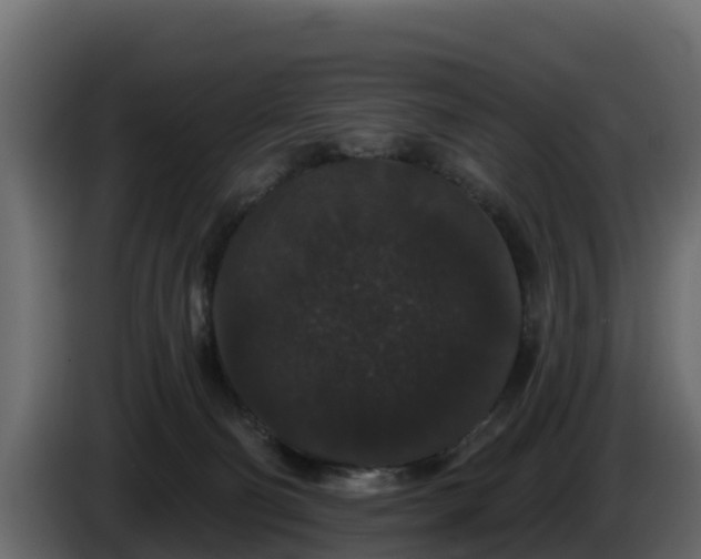 X0000085760130200703231204