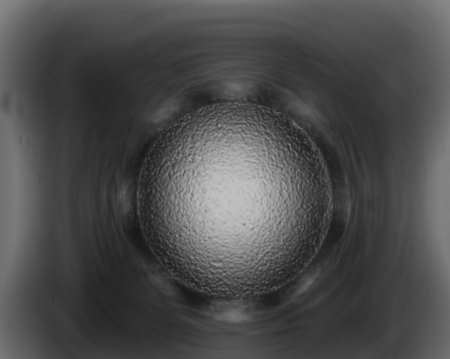X0000085760131200703231204