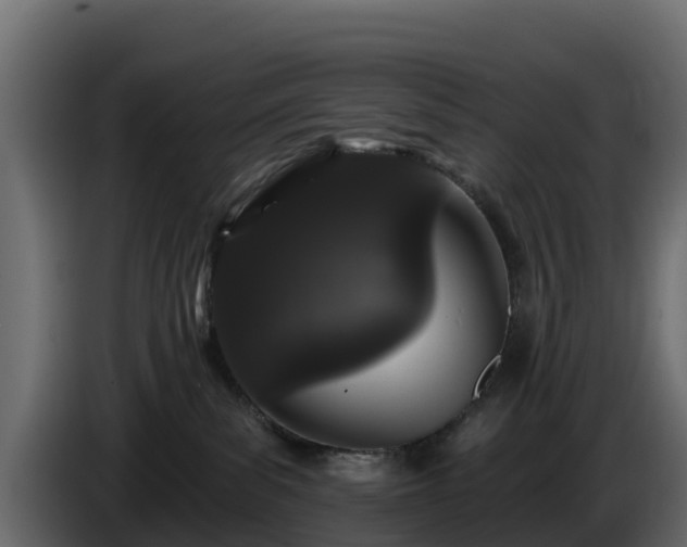X0000085760139200703231204
