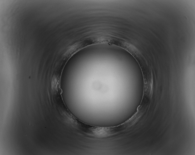 X0000085760142200703231204