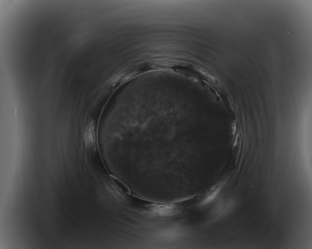 X0000085760143200703231204