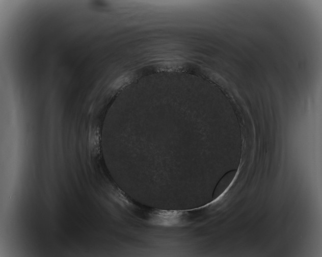 X0000085760144200703231204