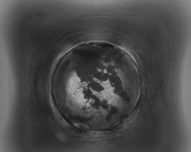 X0000085760145200703231203