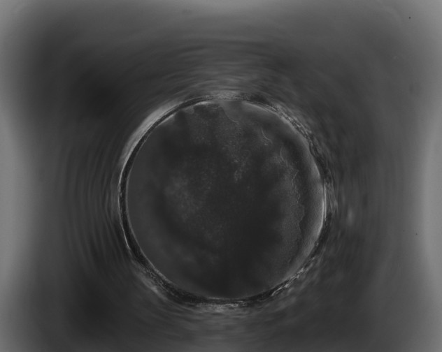 X0000085760147200703231203