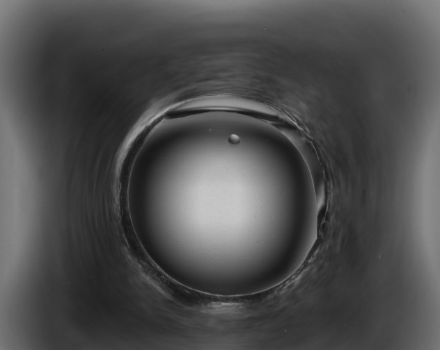 X0000085760150200703231203