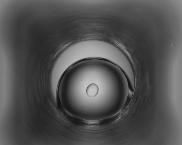 X0000085760154200703231203